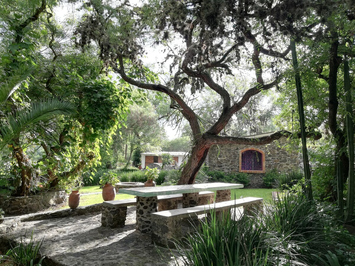 A stone table with bench seating is situated beneath a large, leafy tree. Surrounding greenery includes various plants and decorative earthenware pots, creating a serene outdoor dining space that invites relaxation. A rustic cabin can be seen in the background, framed by the lush landscape.