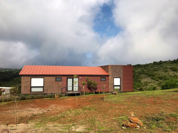 House in Diada (Guanajuato) Houses for Rent in Guanajuato, Gto