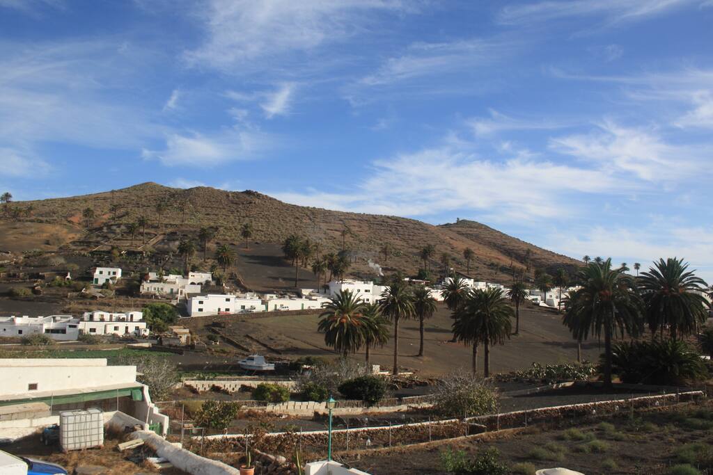 Valley of the 1000 palms