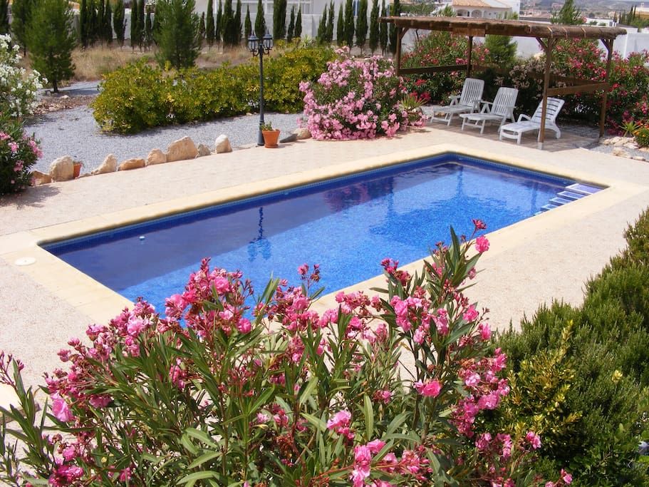 Pool and garden