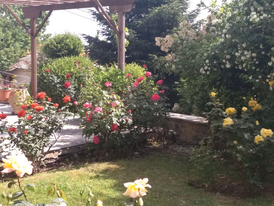well kept garden