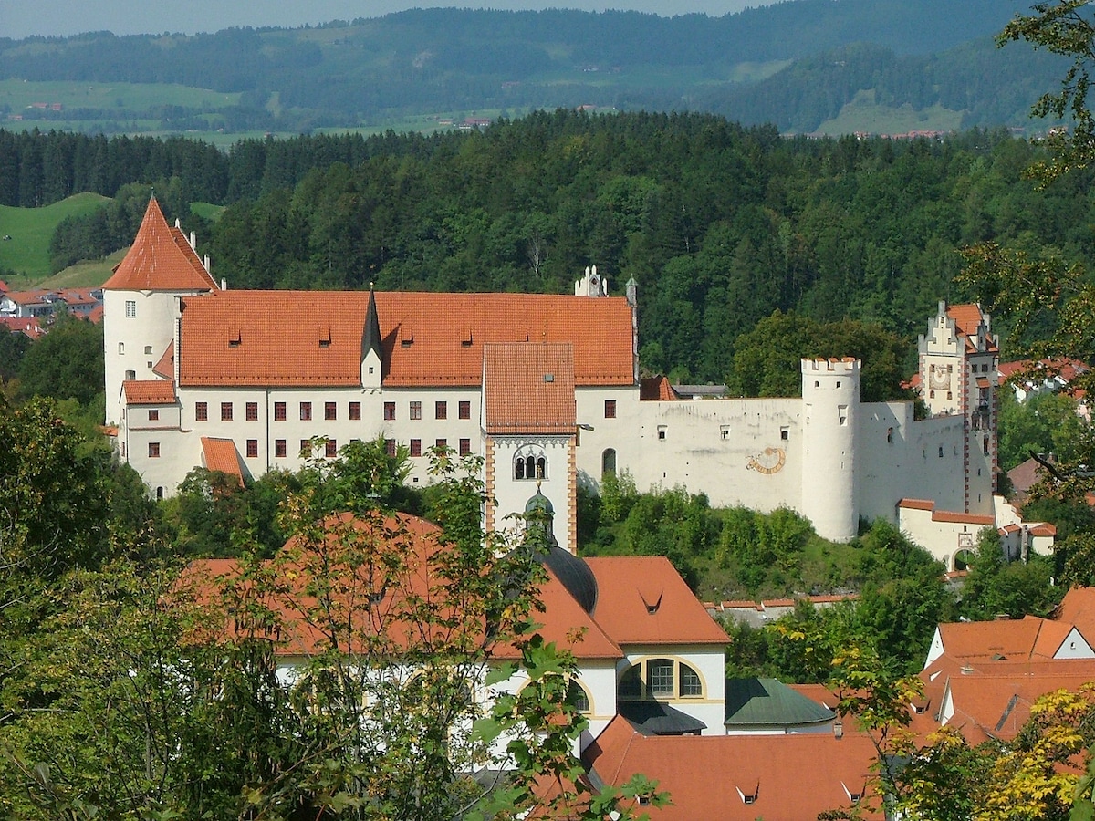 A historical castle with distinct red roof tiles and stone walls is set against a backdrop of lush green forests and rolling hills. The structure features various towers and battlement walls, highlighting its medieval architectural style. Bright rooftops of nearby buildings are visible in the foreground.