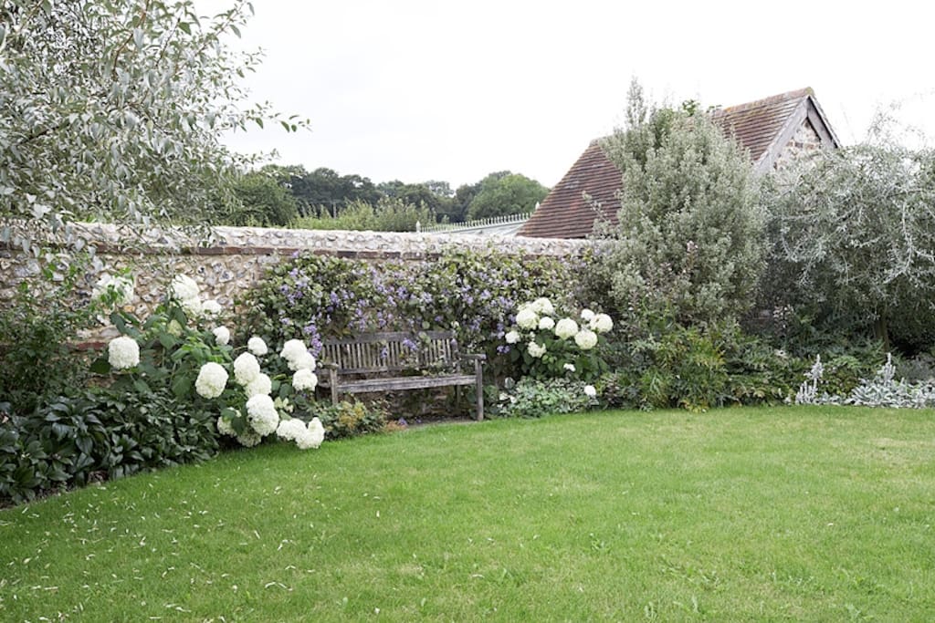 Garden behind house