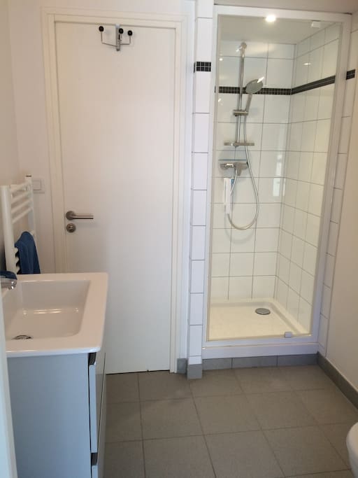 Toilette dans la salle de bain.