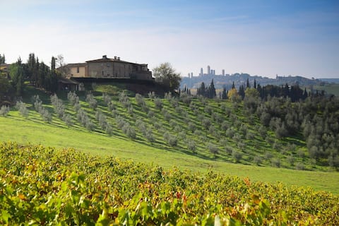 Apartment Mandorlo in San Gimignano, super views