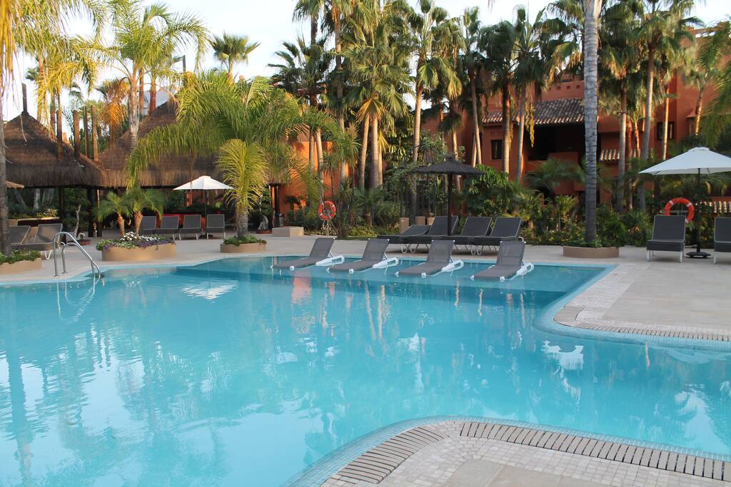 Sunbeds in the Pool