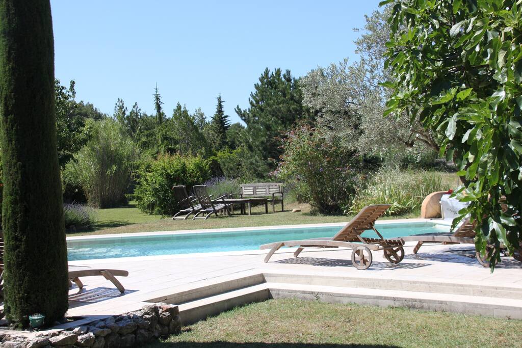 Pool and garden