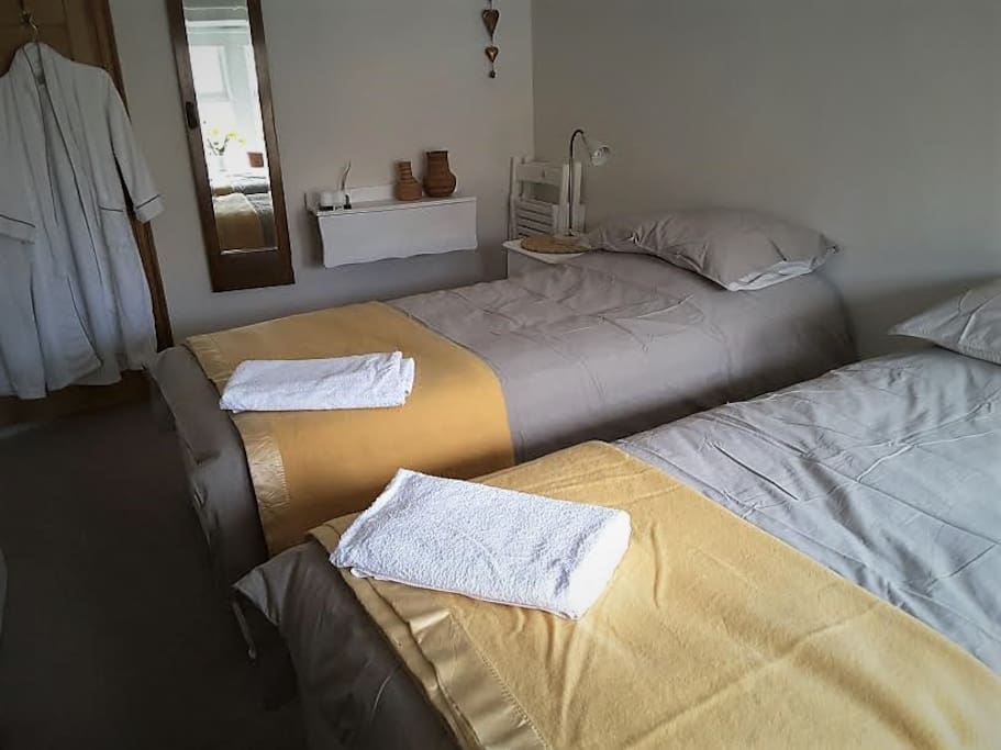 Your room with two 3 ft single beds