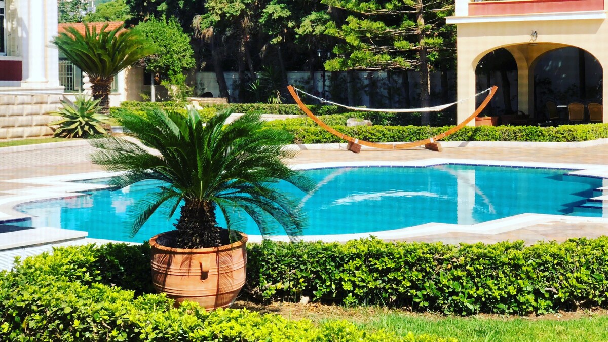 A spacious outdoor area features a circular swimming pool surrounded by manicured shrubs and palm trees. A wooden hammock is positioned nearby, inviting relaxation. The setting is enhanced by a backdrop of trees providing a natural ambiance.