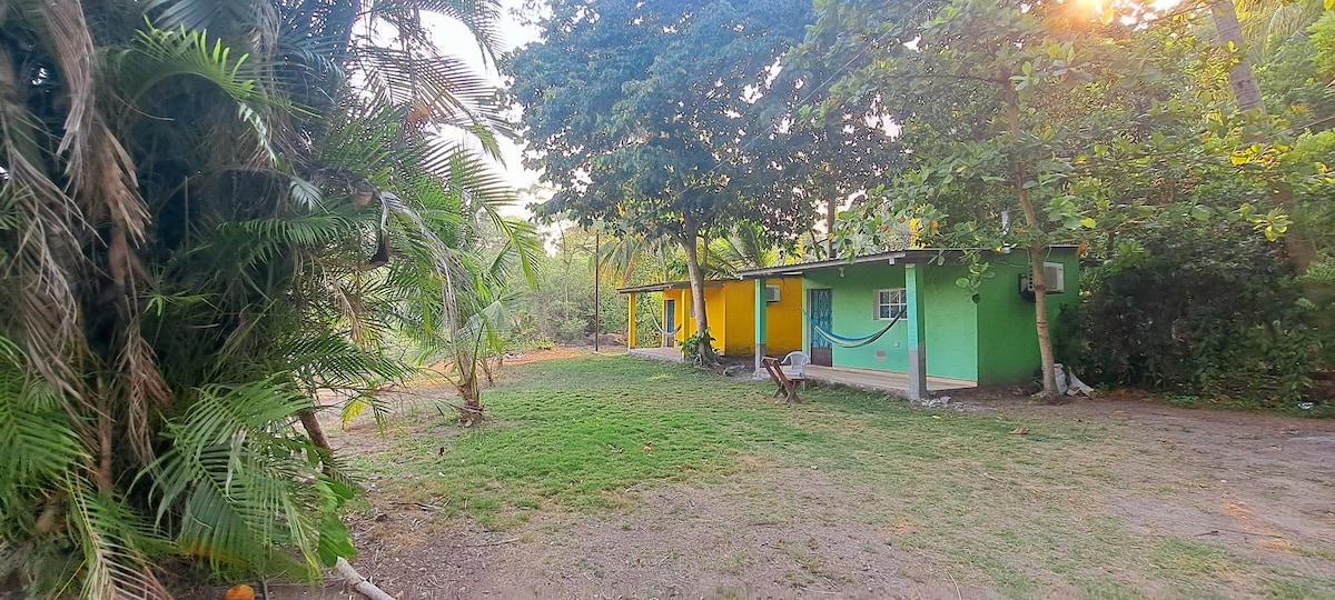 The image captures a vibrant outdoor area featuring two colorful cabins surrounded by lush greenery. A hammock is visible between the trees, providing a relaxed spot amidst the natural setting. The sunlight filters through the leaves, creating a serene and inviting environment.