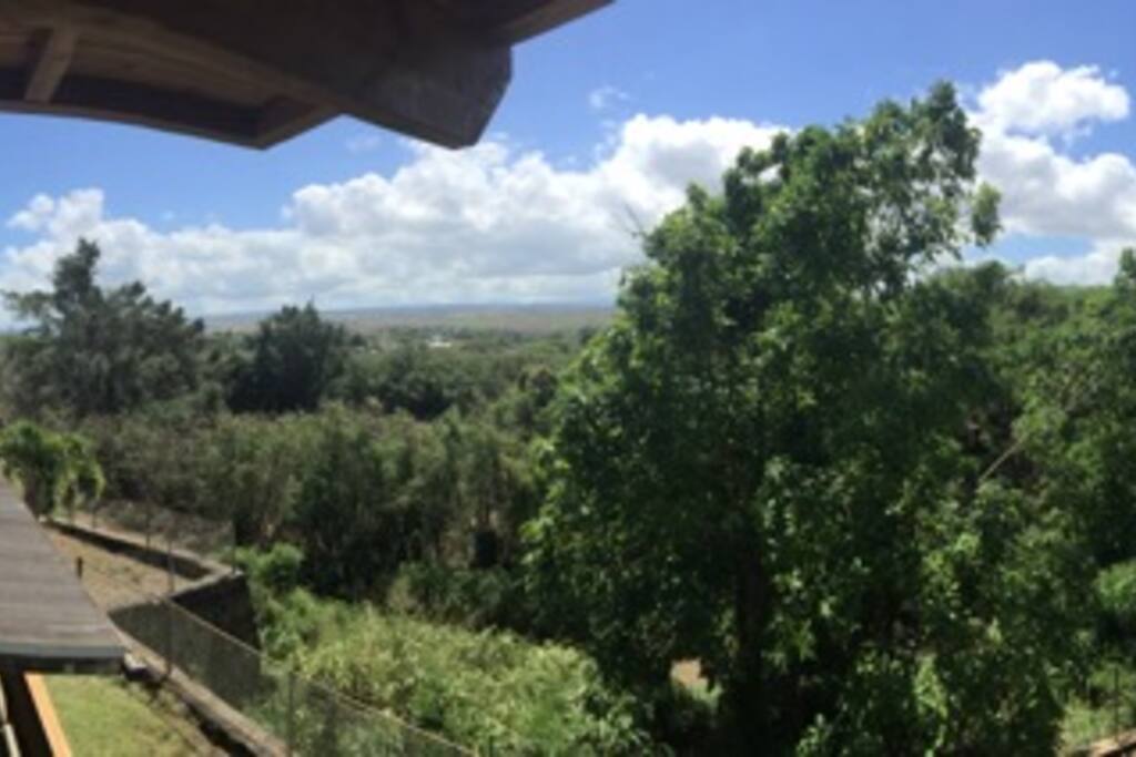 Farm views