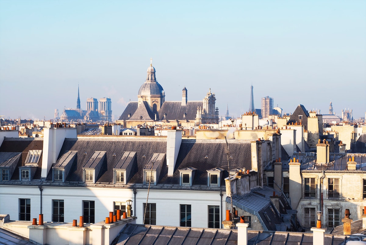 A panoramic view of Paris rooftops is captured from the apartment. Notable landmarks, including the Eiffel Tower and domed buildings, are visible against a clear sky, highlighting the city’s architectural variety. The rooftops feature a combination of slate and flat roofing with prominent chimneys.