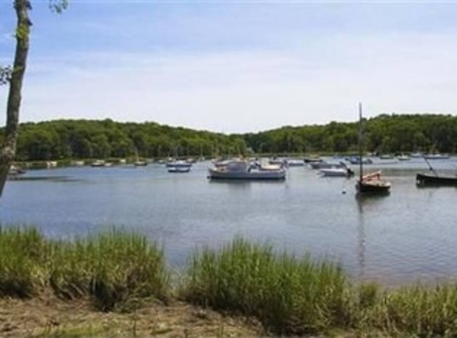 Arey's Pond (kayaking, fishing, birding) within walking distance of house.