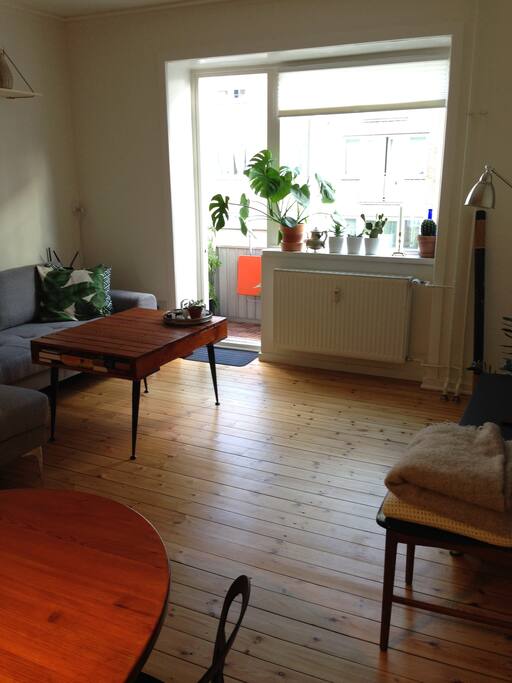 Living/dining room