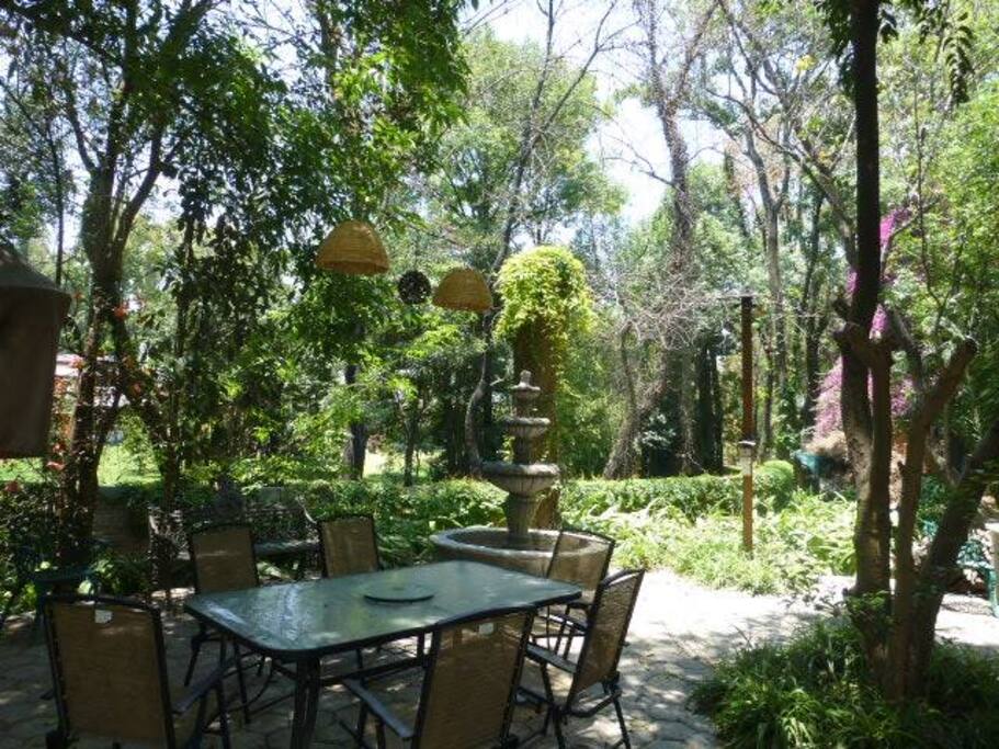 Terraza arbolada