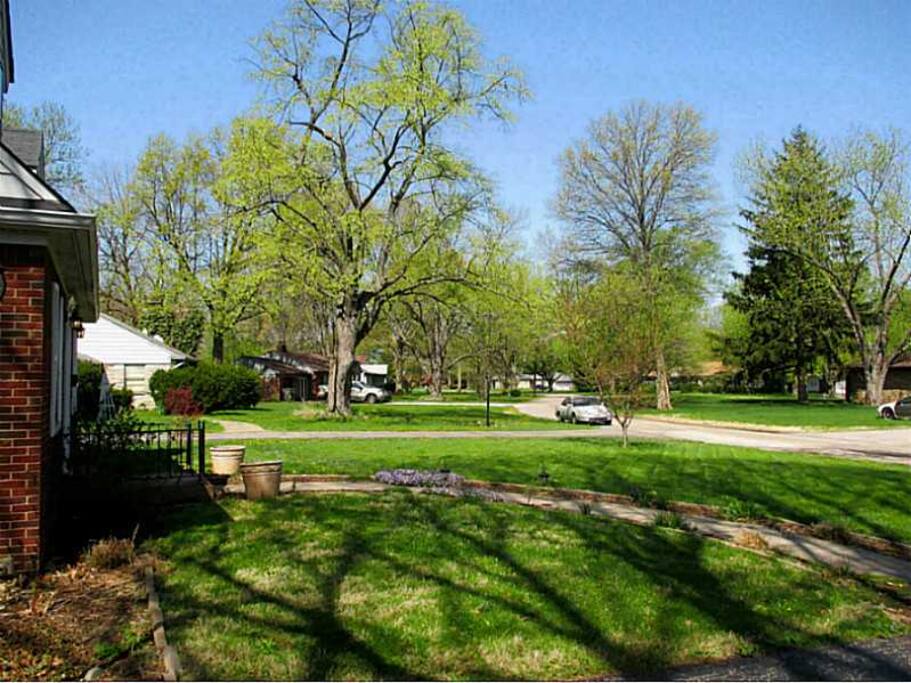 Side view of front yard
