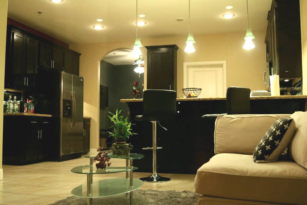Living Room / Kitchen in the back.