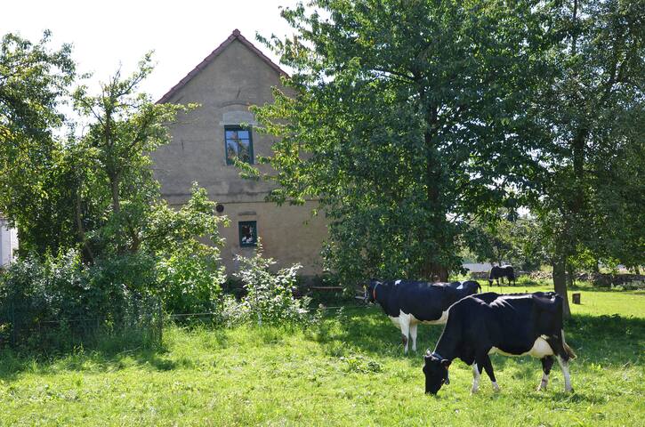 vacation on the farm