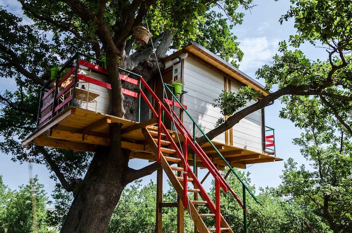 The treehouse