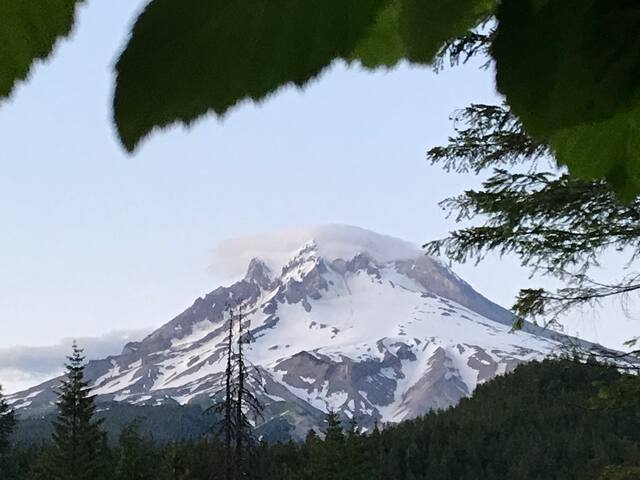 Quiet place on Mt Hood by the Salmon River