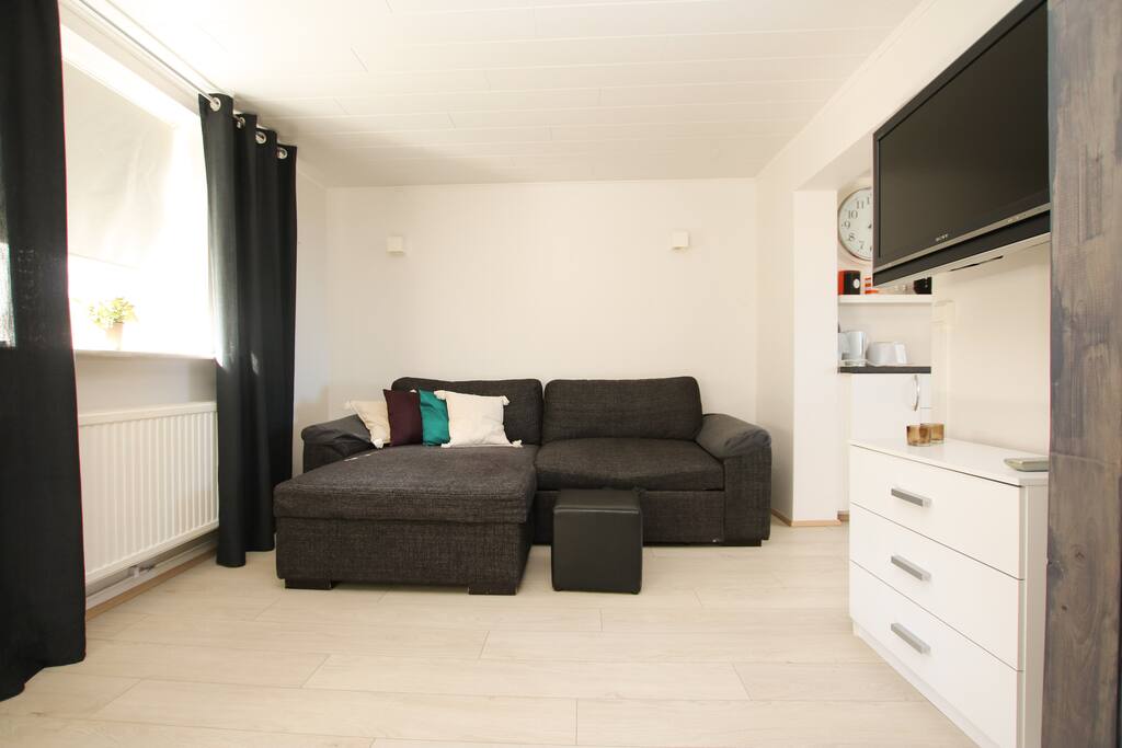 The comfortable pullout sofa.