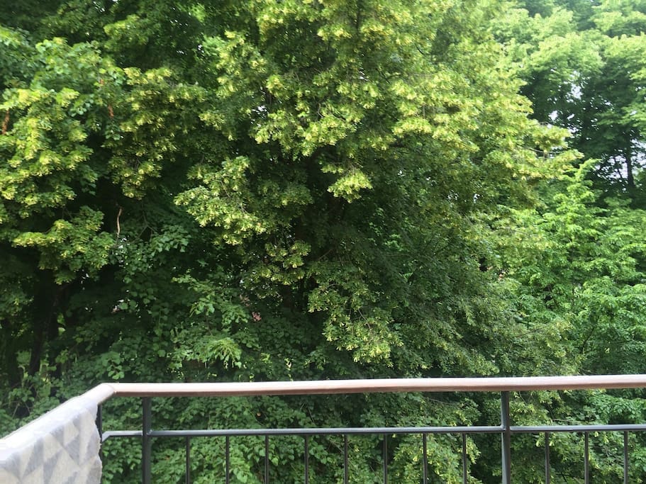 Balcony with the greenest view in Copenhagen