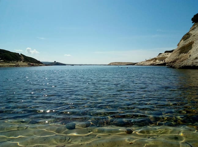 The Sardinian Experience