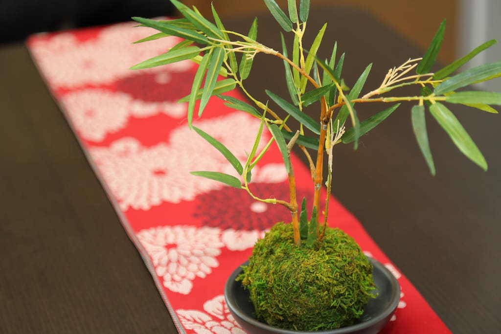 tiny bonsai!