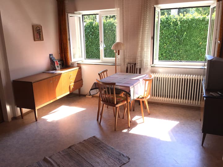 Salzburg Apartment Rentals Home and Apartment Rentals Airbnb