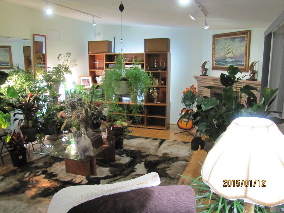 Look closely and you will notice Lady Lollypop welcoming you to the "plant room".