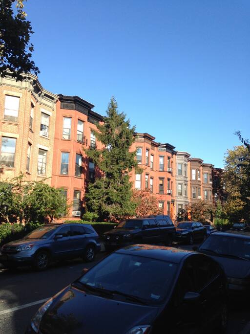 Park Slope one of the most beautiful neighborhoods in NYC