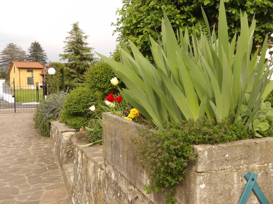 Scorcio viale ingresso auto