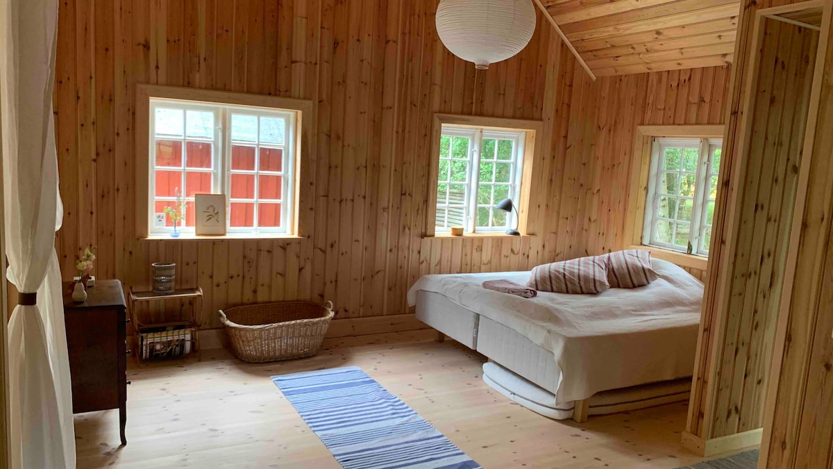 A wooden interior is showcased with light-colored paneling enhancing the serene ambiance. A spacious bed is positioned centrally, with a striped runner laying across the light floor. Natural light enters through multiple windows, illuminating the room's cozy features.