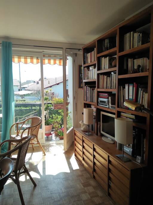 Salon, bibliothèque et télévision