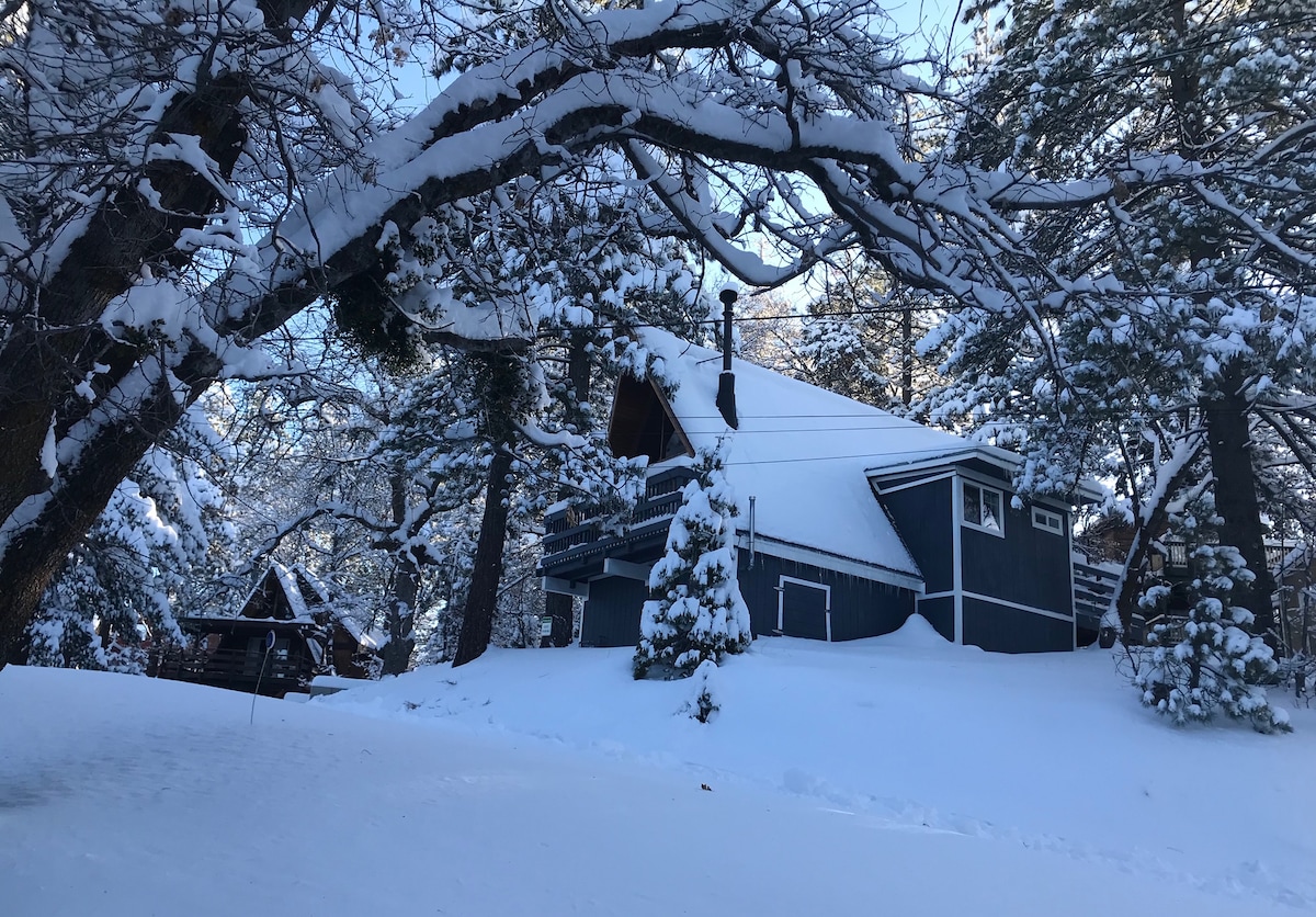 A cozy A-frame cabin is nestled among snow-covered trees, creating a serene winter scene. The cabin's dark exterior contrasts with the white snow, while a small evergreen tree is decorated with fresh snow, enhancing the tranquil atmosphere of the surrounding landscape.