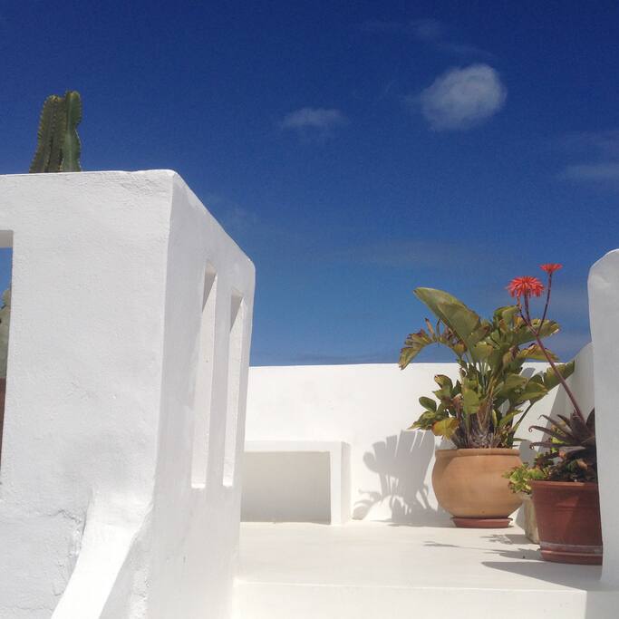 la terrazza