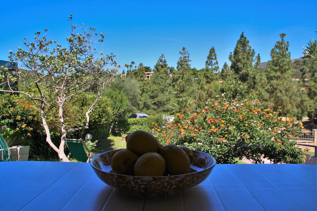 Vista sul giardino
