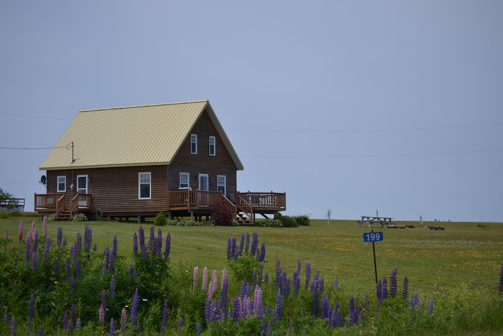 A Cottage Malpeque Cottages for Rent in Kensington, Prince Edward