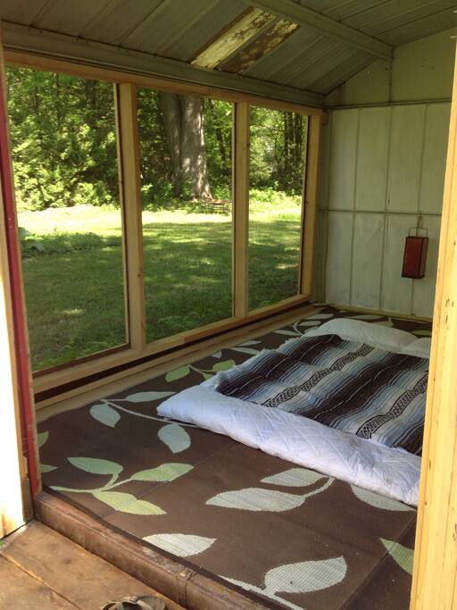 The yoga shack