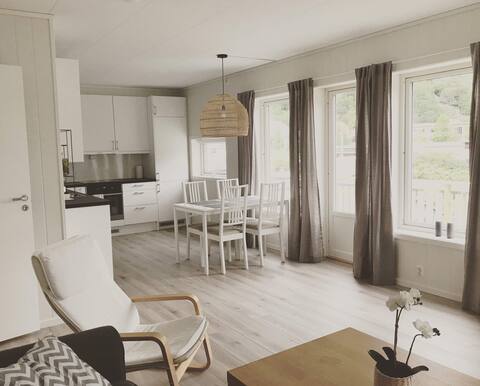 Hillegård apartment, Lærdalsøyri