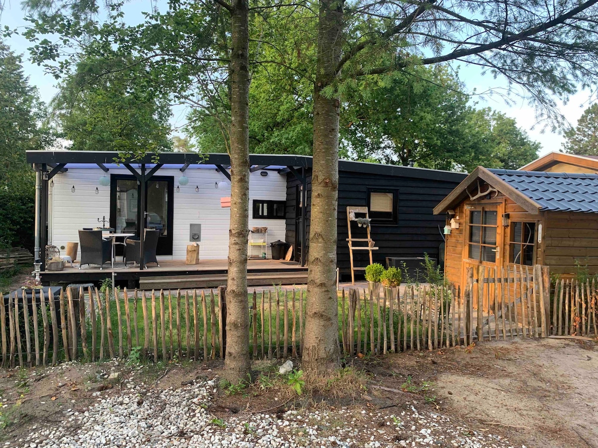 A charming chalet is set amongst greenery, featuring a spacious wooden deck with seating arrangements. A small wooden shed can be seen nearby, while a rustic fence outlines the garden area, enhancing the natural surroundings.