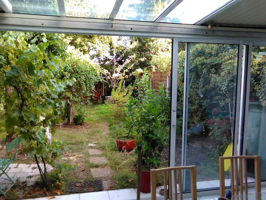 View of the garden
