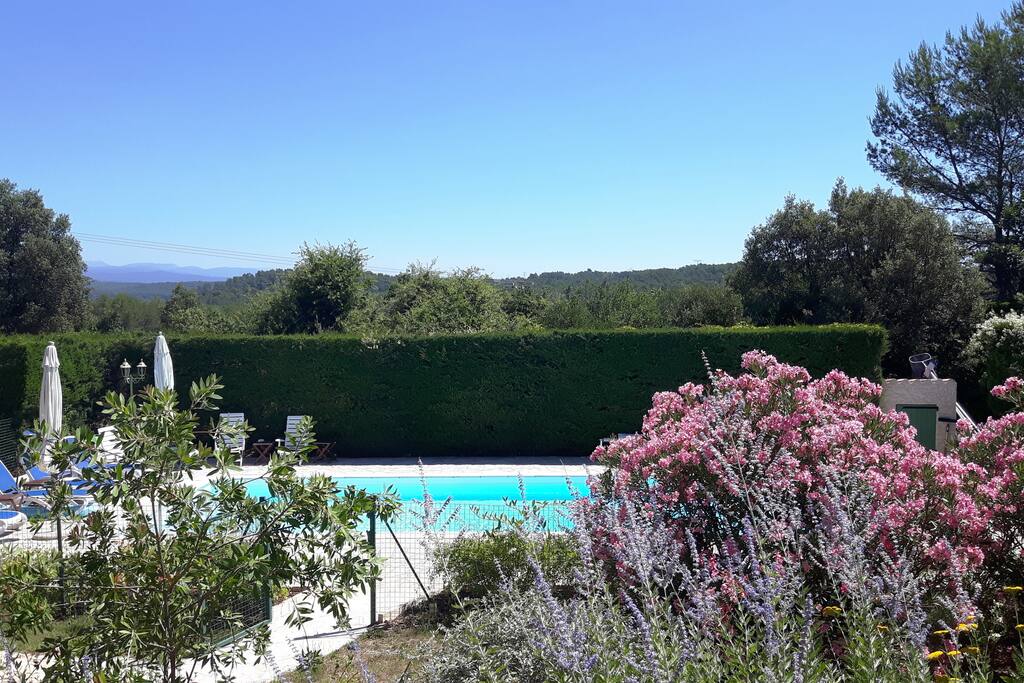 Garden view towards the pool