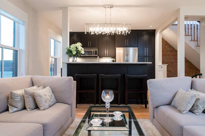 Stunning SouthEnd/BackBay Penthouse gallery image 3