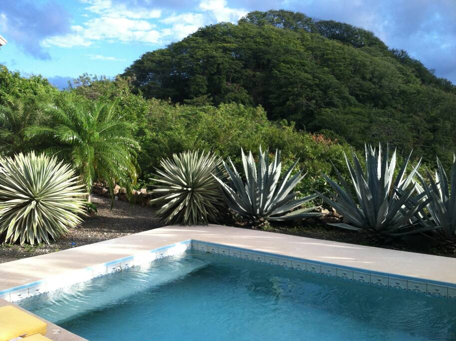 Pool with view of mountain