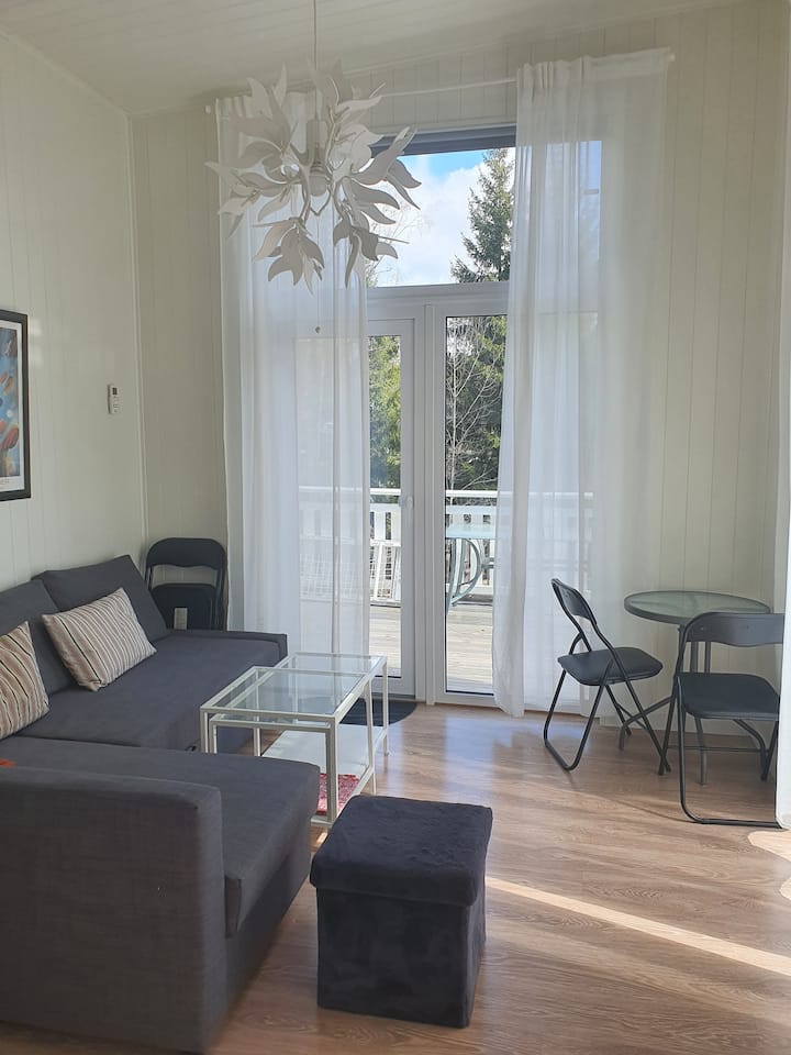 غرفة معيشة تضم سرير أريكة 