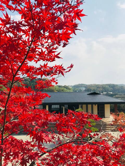 2800 square meters Japanese courtyard villa