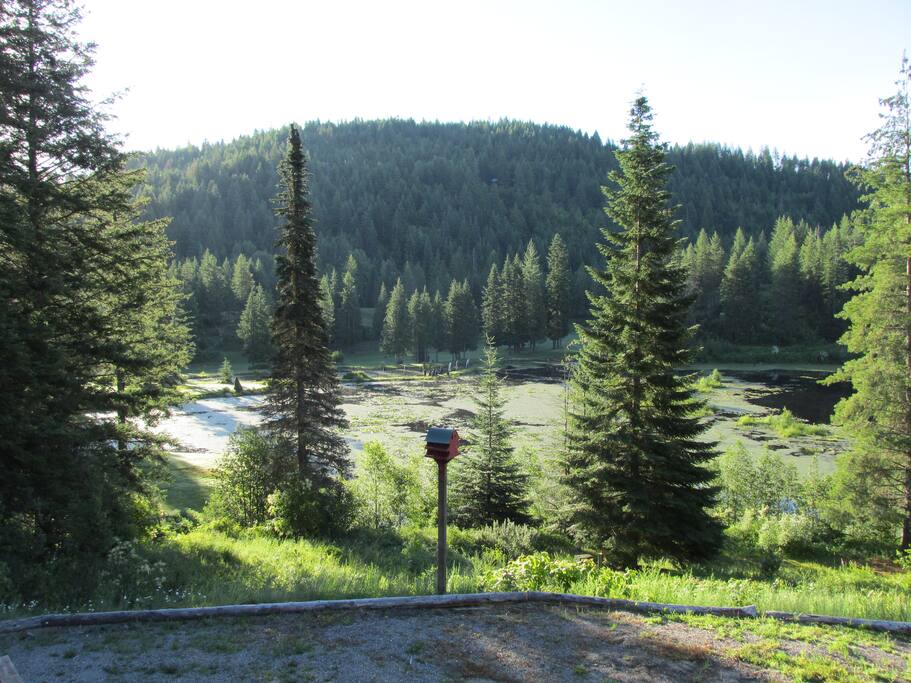 Upper lake in the summer