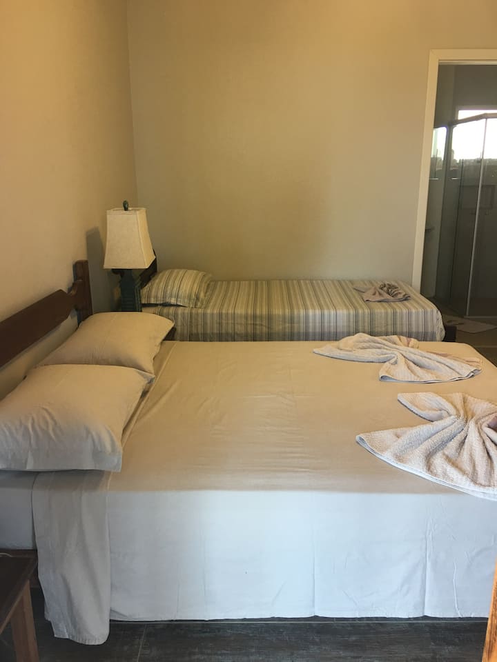 Bedroom with standard bed and single bed