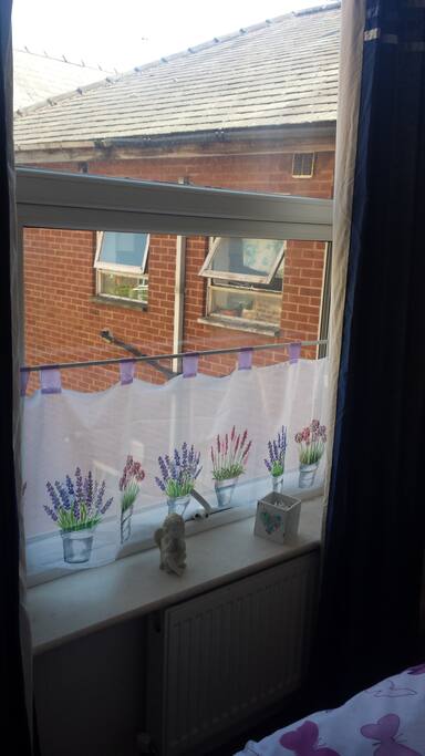 Ausblick aus deinem Zimmer
view from your room